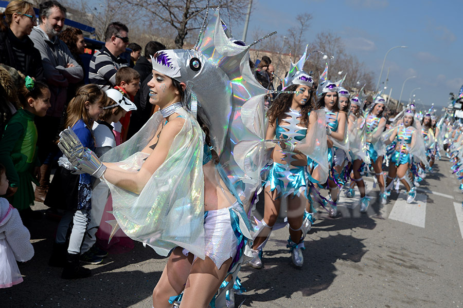 Rua del Carnaval de Santa Margarida i els Monjos 2017. Rua del Carnaval de Santa Margarida i els Monjos 2017