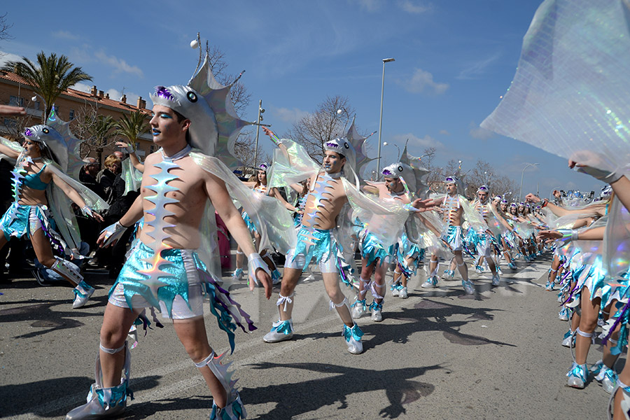 Rua del Carnaval de Santa Margarida i els Monjos 2017. Rua del Carnaval de Santa Margarida i els Monjos 2017