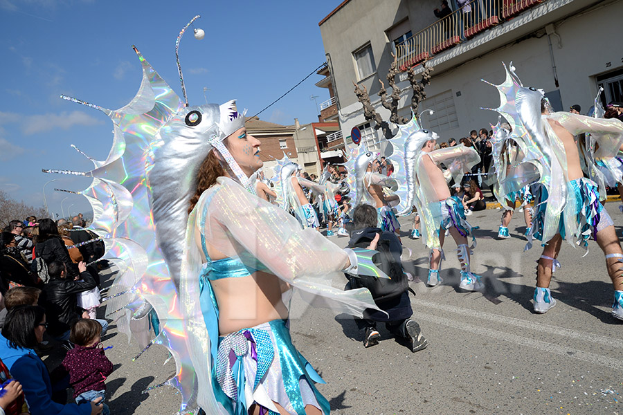 Rua del Carnaval de Santa Margarida i els Monjos 2017. Rua del Carnaval de Santa Margarida i els Monjos 2017