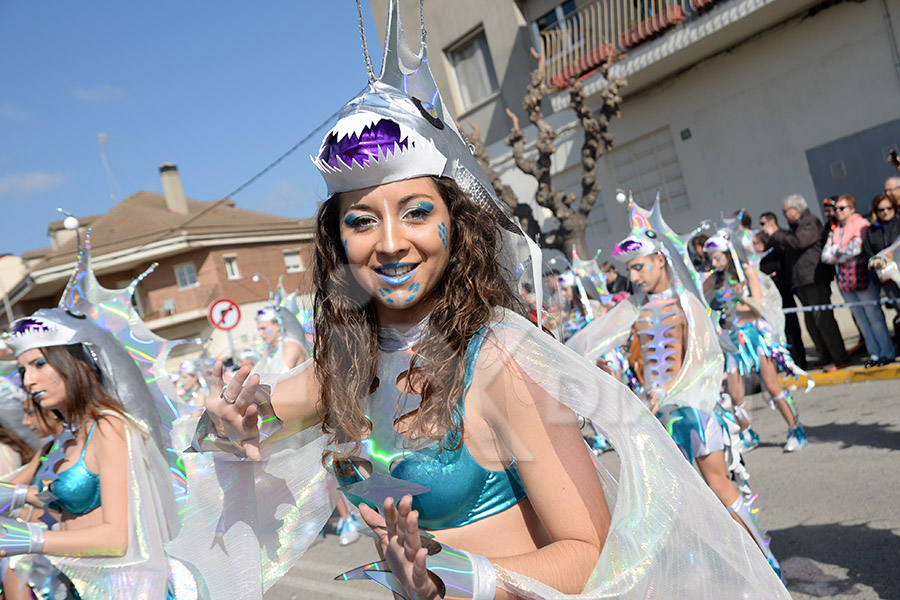 Rua del Carnaval de Santa Margarida i els Monjos 2017. Rua del Carnaval de Santa Margarida i els Monjos 2017