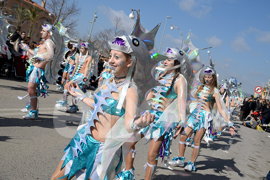 Rua del Carnaval de Santa Margarida i els Monjos 2017