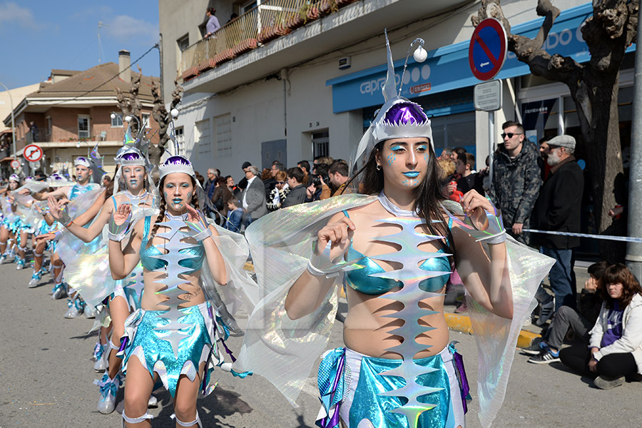 Rua del Carnaval de Santa Margarida i els Monjos 2017. Rua del Carnaval de Santa Margarida i els Monjos 2017