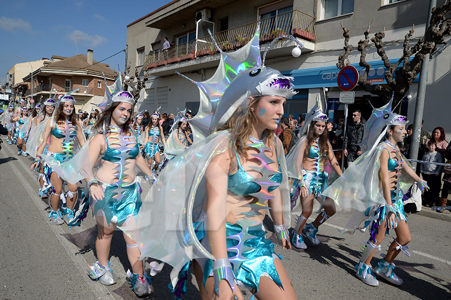 Rua del Carnaval de Santa Margarida i els Monjos 2017