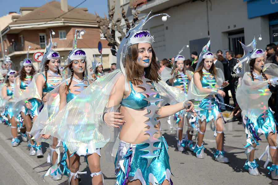 Rua del Carnaval de Santa Margarida i els Monjos 2017. Rua del Carnaval de Santa Margarida i els Monjos 2017