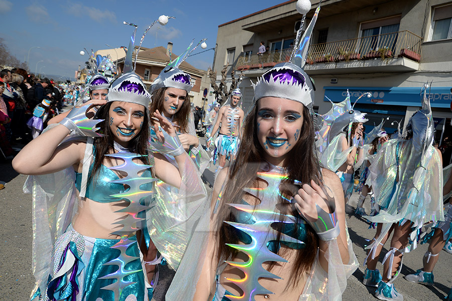 Rua del Carnaval de Santa Margarida i els Monjos 2017