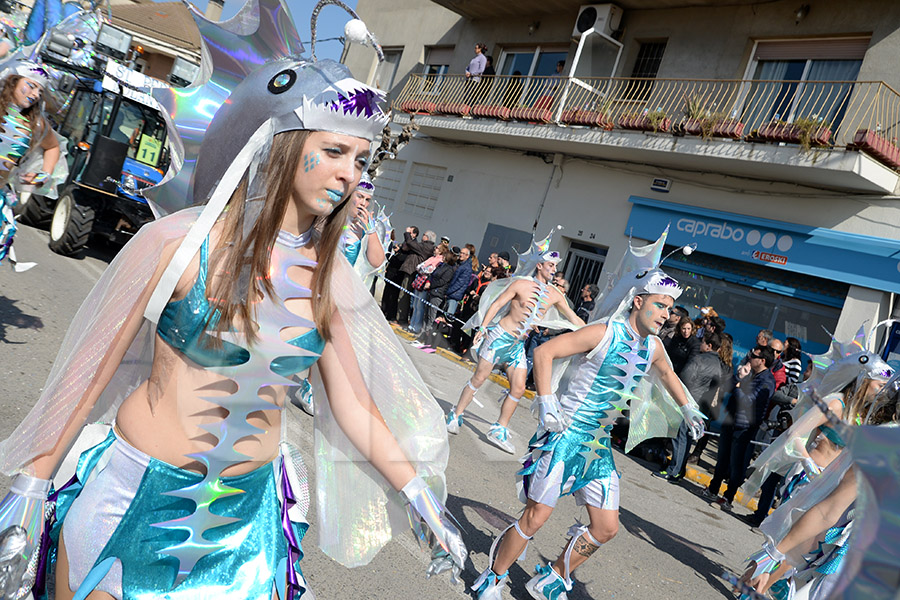 Rua del Carnaval de Santa Margarida i els Monjos 2017. Rua del Carnaval de Santa Margarida i els Monjos 2017