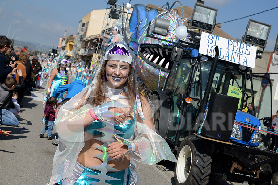 Rua del Carnaval de Santa Margarida i els Monjos 2017. Rua del Carnaval de Santa Margarida i els Monjos 2017