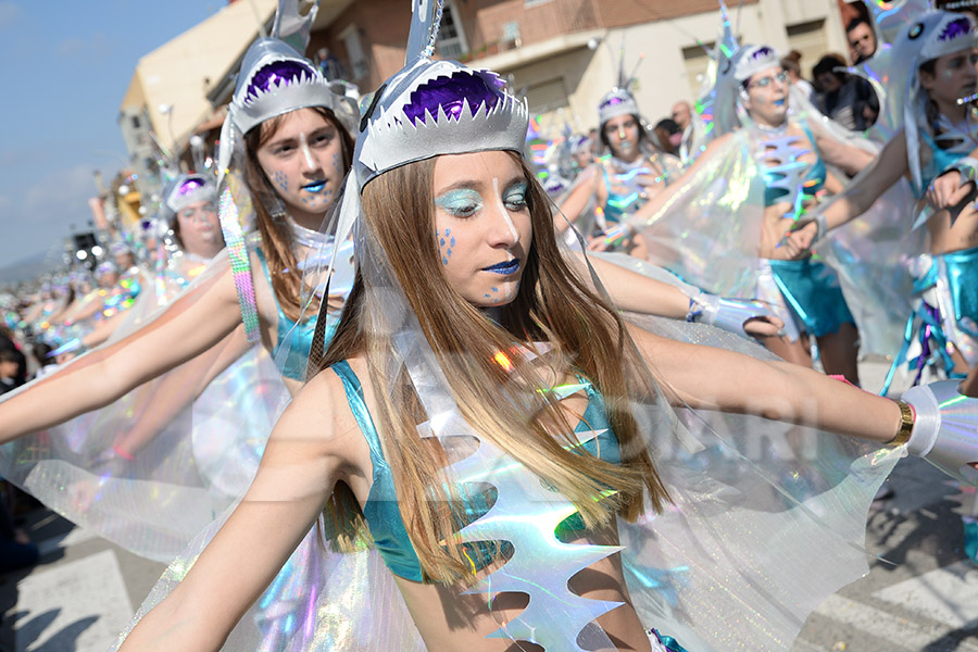 Rua del Carnaval de Santa Margarida i els Monjos 2017. Rua del Carnaval de Santa Margarida i els Monjos 2017