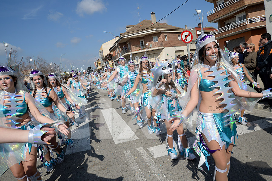 Rua del Carnaval de Santa Margarida i els Monjos 2017. Rua del Carnaval de Santa Margarida i els Monjos 2017