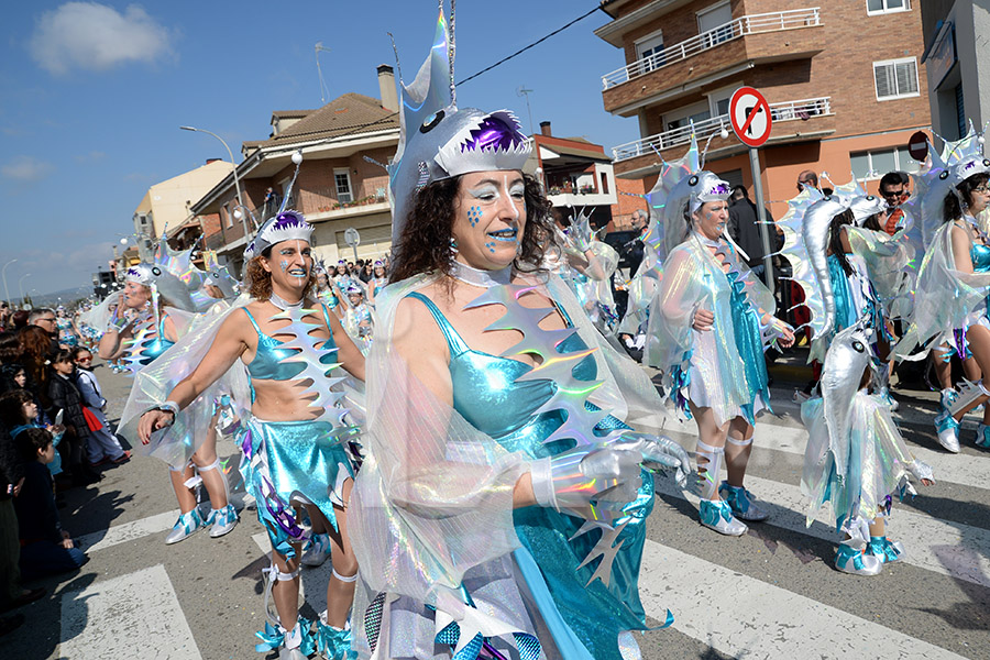 Rua del Carnaval de Santa Margarida i els Monjos 2017. Rua del Carnaval de Santa Margarida i els Monjos 2017