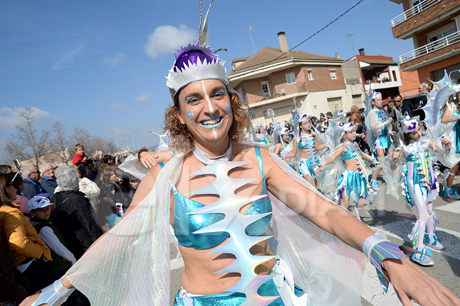 Rua del Carnaval de Santa Margarida i els Monjos 2017. Rua del Carnaval de Santa Margarida i els Monjos 2017