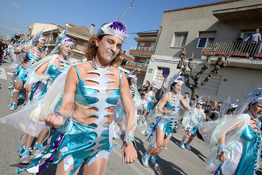 Rua del Carnaval de Santa Margarida i els Monjos 2017