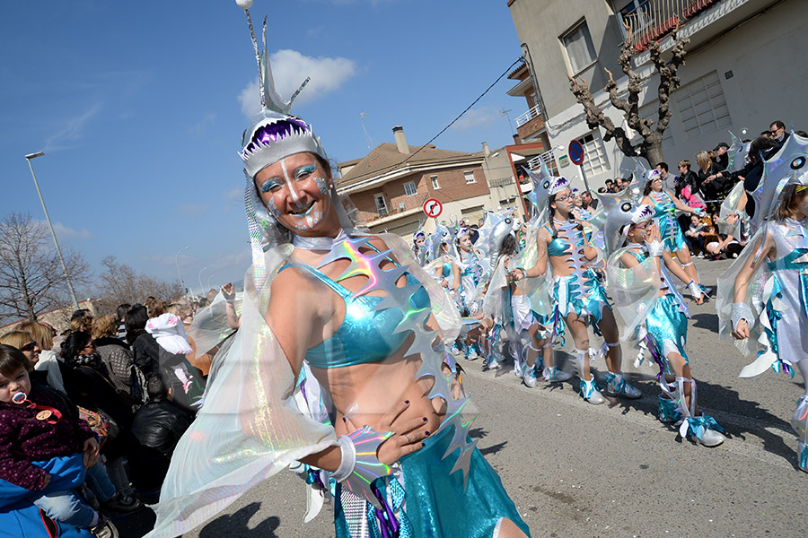 Rua del Carnaval de Santa Margarida i els Monjos 2017