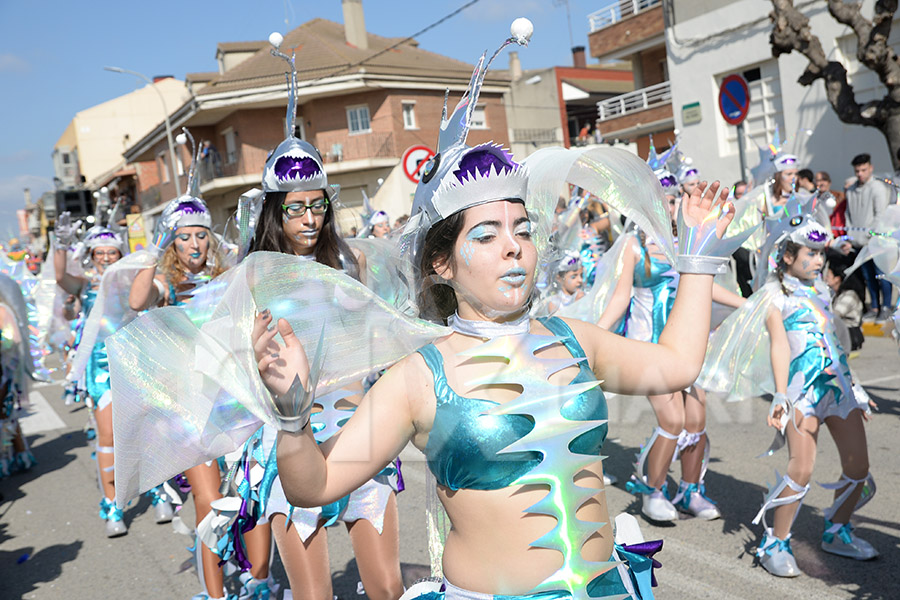 Rua del Carnaval de Santa Margarida i els Monjos 2017. Rua del Carnaval de Santa Margarida i els Monjos 2017