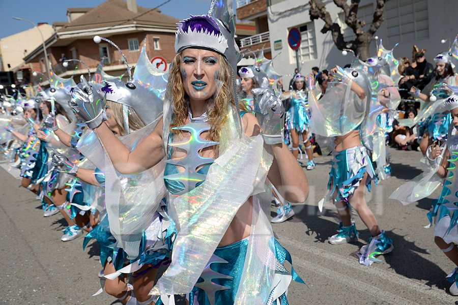 Rua del Carnaval de Santa Margarida i els Monjos 2017. Rua del Carnaval de Santa Margarida i els Monjos 2017