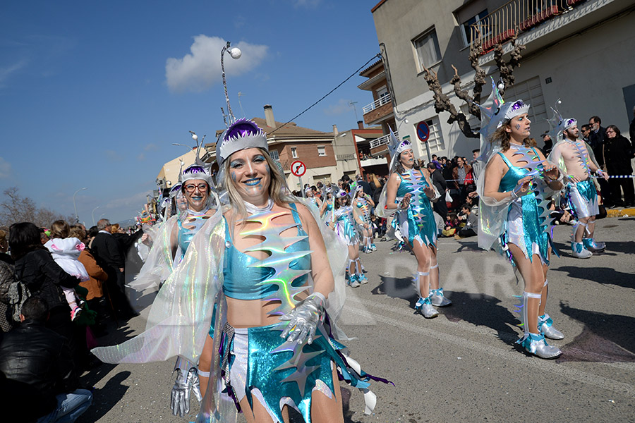 Rua del Carnaval de Santa Margarida i els Monjos 2017. Rua del Carnaval de Santa Margarida i els Monjos 2017