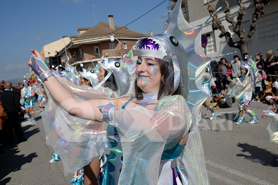 Rua del Carnaval de Santa Margarida i els Monjos 2017