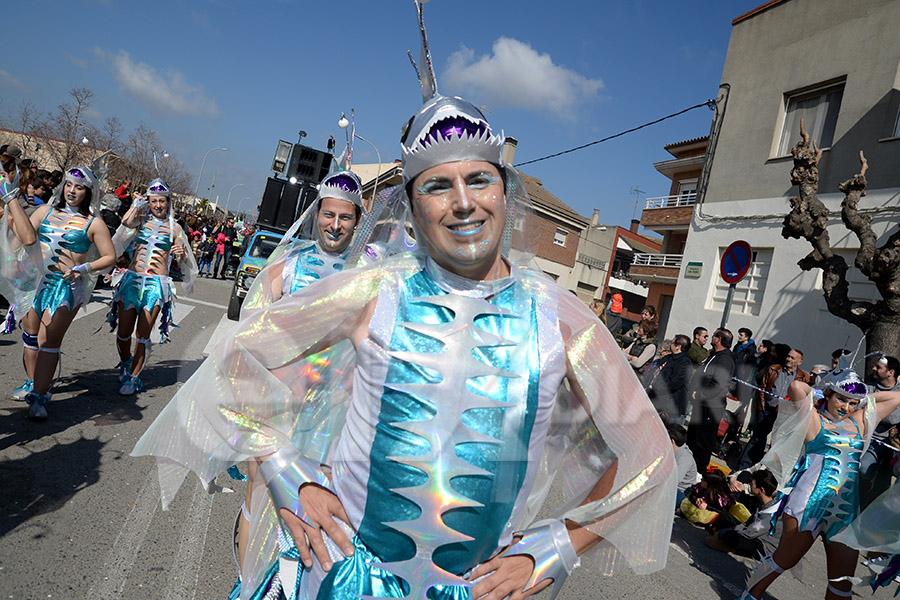 Rua del Carnaval de Santa Margarida i els Monjos 2017. Rua del Carnaval de Santa Margarida i els Monjos 2017