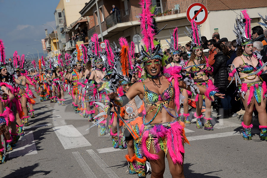 Rua del Carnaval de Santa Margarida i els Monjos 2017. Rua del Carnaval de Santa Margarida i els Monjos 2017