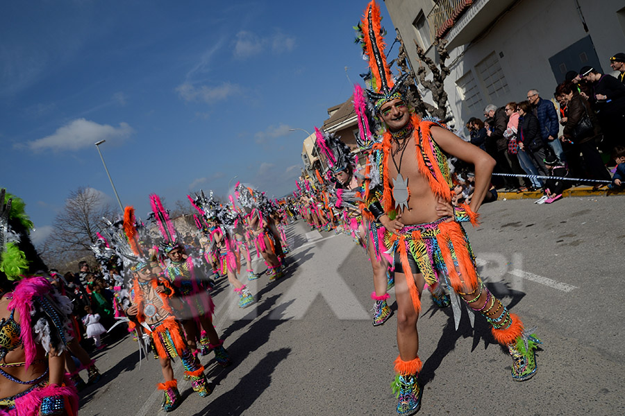 Rua del Carnaval de Santa Margarida i els Monjos 2017