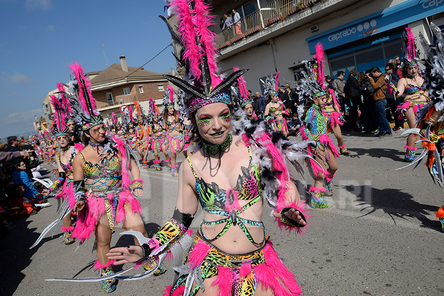 Rua del Carnaval de Santa Margarida i els Monjos 2017