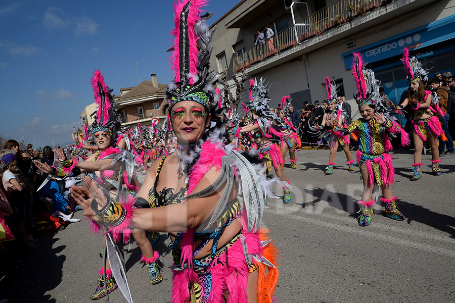 Rua del Carnaval de Santa Margarida i els Monjos 2017