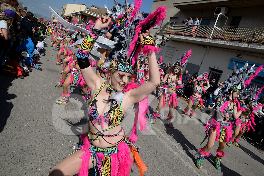 Rua del Carnaval de Santa Margarida i els Monjos 2017. Rua del Carnaval de Santa Margarida i els Monjos 2017