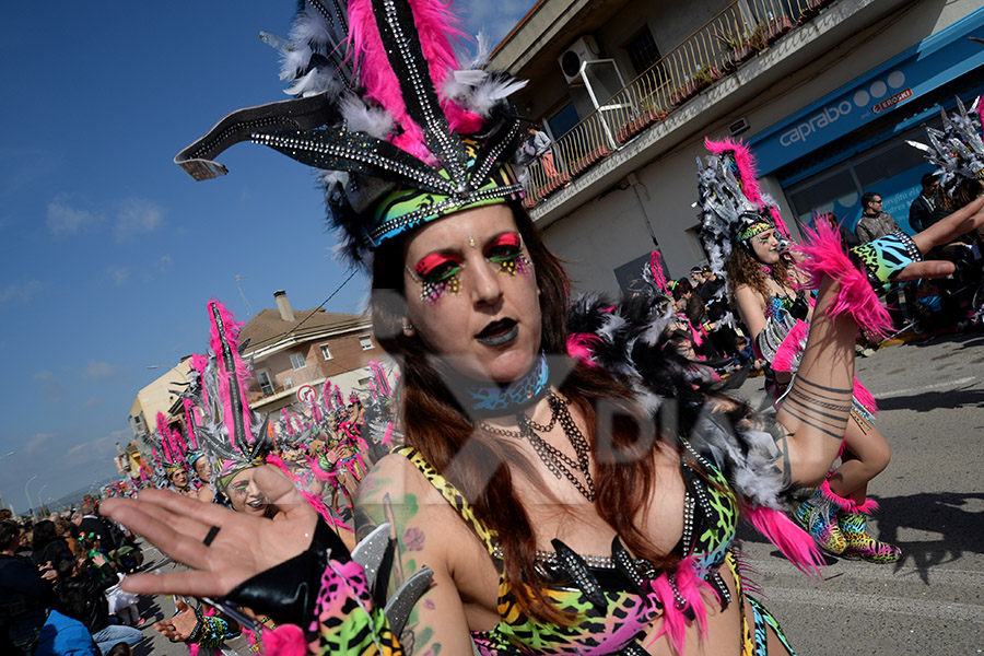 Rua del Carnaval de Santa Margarida i els Monjos 2017