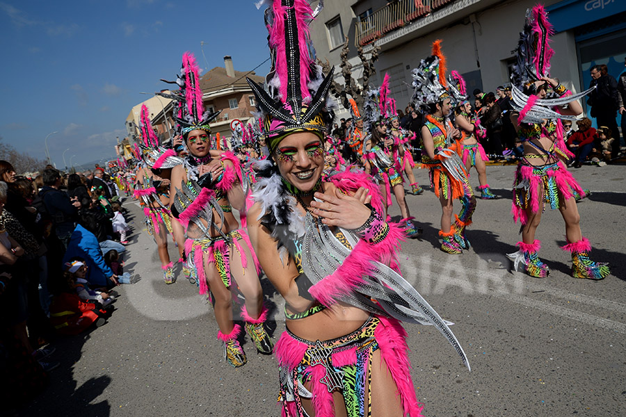 Rua del Carnaval de Santa Margarida i els Monjos 2017. Rua del Carnaval de Santa Margarida i els Monjos 2017