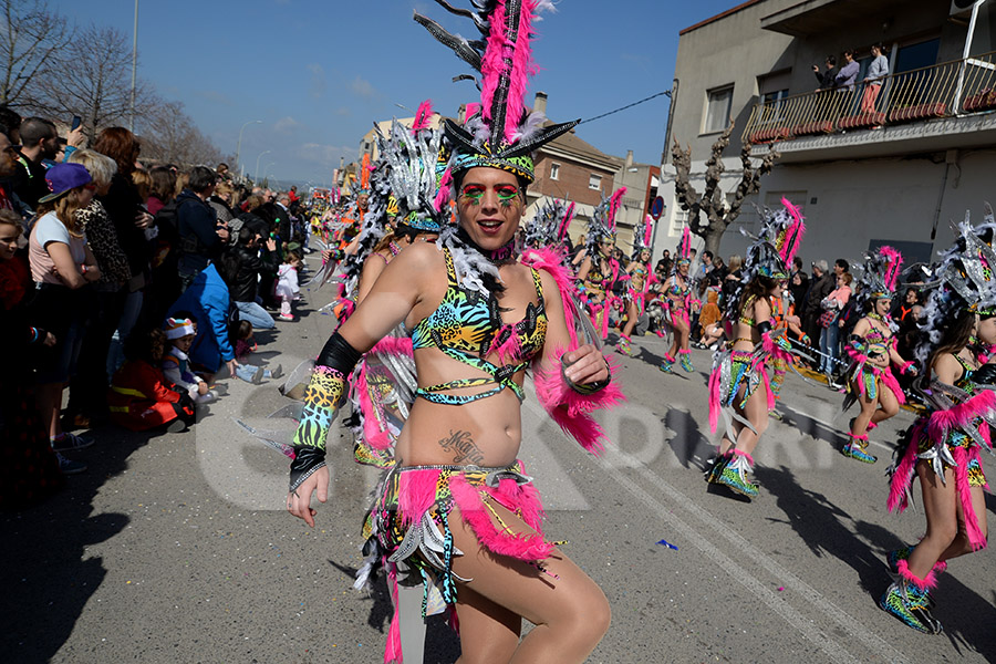 Rua del Carnaval de Santa Margarida i els Monjos 2017. Rua del Carnaval de Santa Margarida i els Monjos 2017