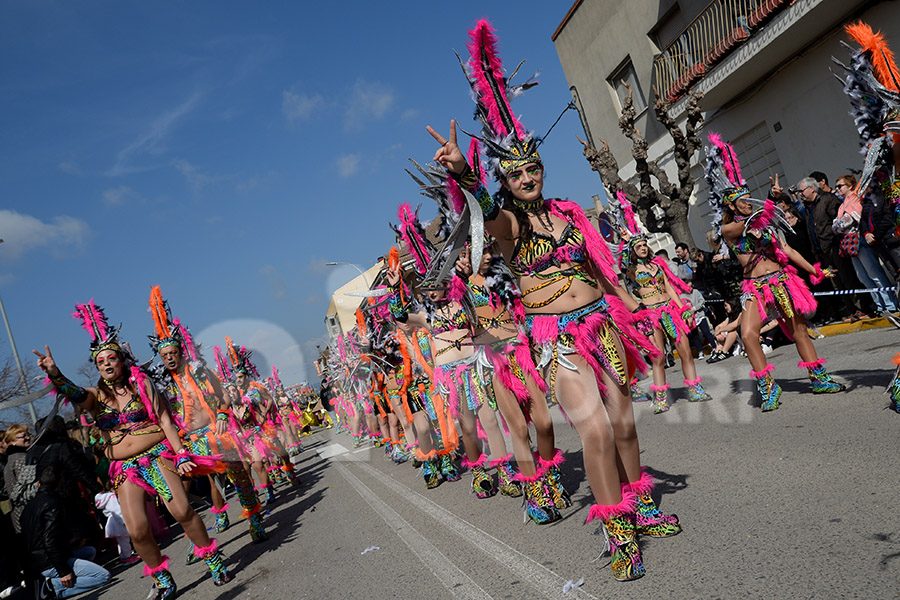 Rua del Carnaval de Santa Margarida i els Monjos 2017. Rua del Carnaval de Santa Margarida i els Monjos 2017