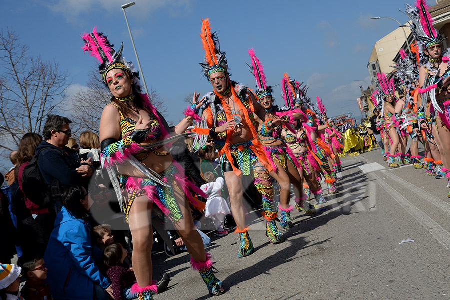 Rua del Carnaval de Santa Margarida i els Monjos 2017. Rua del Carnaval de Santa Margarida i els Monjos 2017