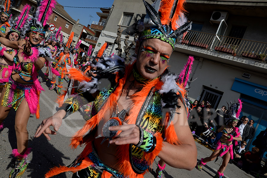 Rua del Carnaval de Santa Margarida i els Monjos 2017