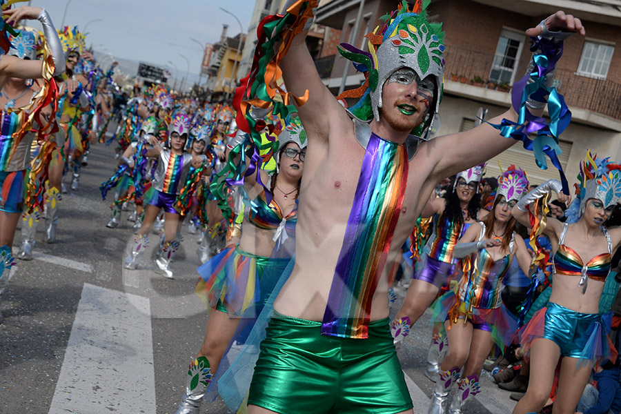 Rua del Carnaval de Santa Margarida i els Monjos 2017. Rua del Carnaval de Santa Margarida i els Monjos 2017