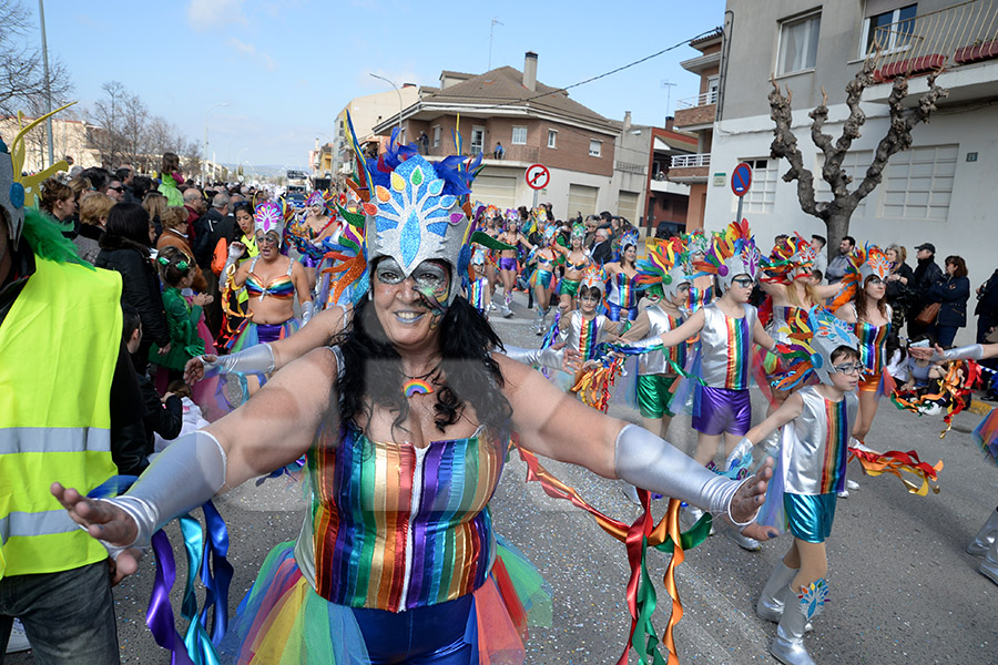 Rua del Carnaval de Santa Margarida i els Monjos 2017. Rua del Carnaval de Santa Margarida i els Monjos 2017