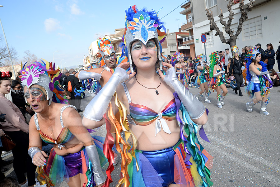 Rua del Carnaval de Santa Margarida i els Monjos 2017. Rua del Carnaval de Santa Margarida i els Monjos 2017