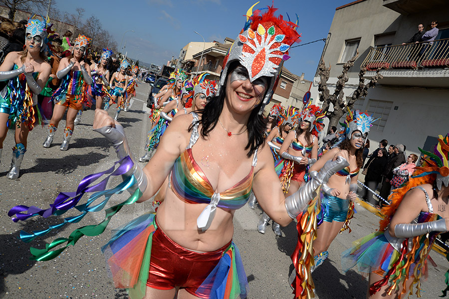 Rua del Carnaval de Santa Margarida i els Monjos 2017. Rua del Carnaval de Santa Margarida i els Monjos 2017