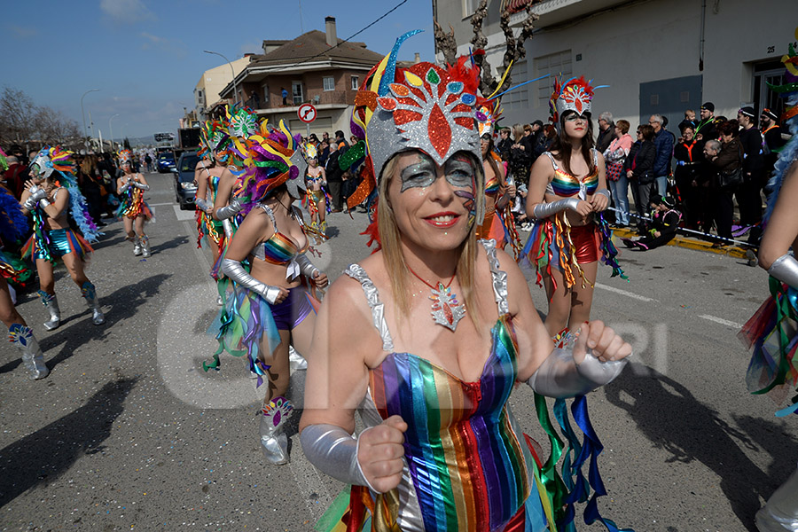 Rua del Carnaval de Santa Margarida i els Monjos 2017. Rua del Carnaval de Santa Margarida i els Monjos 2017