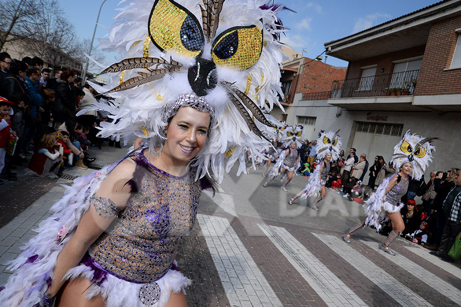 Rua del Carnaval de Santa Margarida i els Monjos 2017. Rua del Carnaval de Santa Margarida i els Monjos 2017