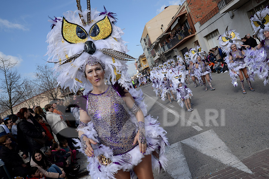 Rua del Carnaval de Santa Margarida i els Monjos 2017. Rua del Carnaval de Santa Margarida i els Monjos 2017