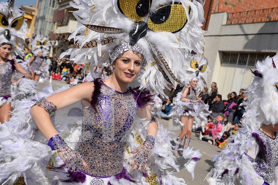 Rua del Carnaval de Santa Margarida i els Monjos 2017. Rua del Carnaval de Santa Margarida i els Monjos 2017