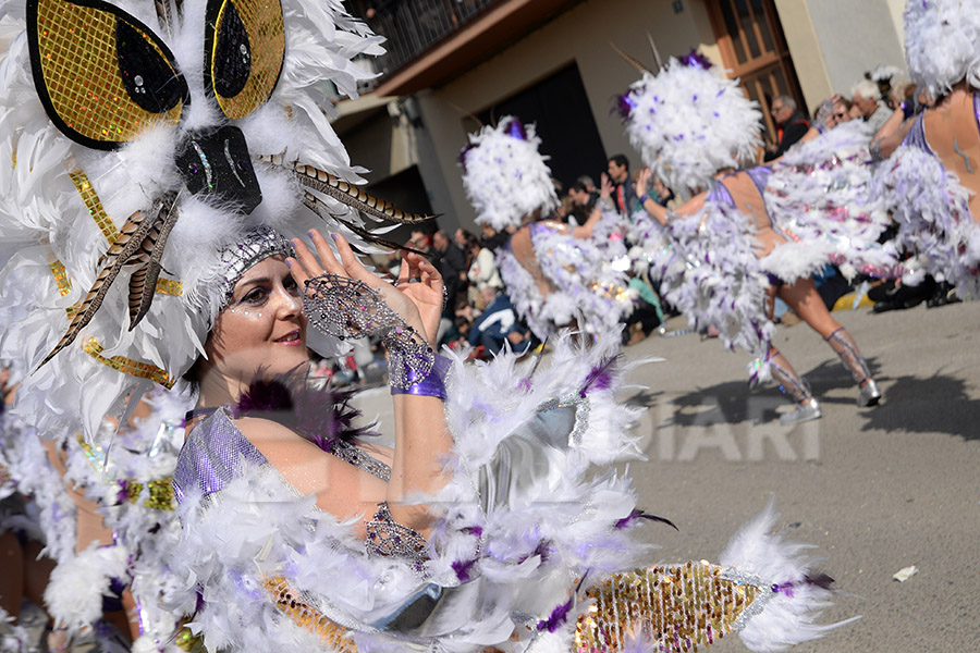 Rua del Carnaval de Santa Margarida i els Monjos 2017