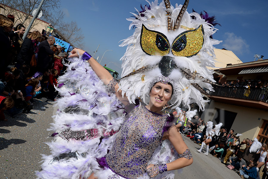 Rua del Carnaval de Santa Margarida i els Monjos 2017