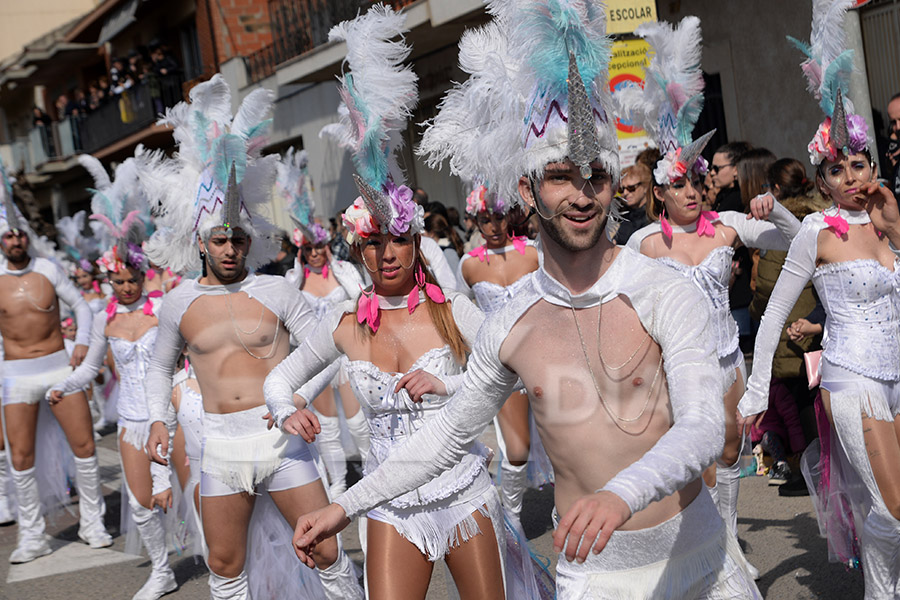 Rua del Carnaval de Santa Margarida i els Monjos 2017