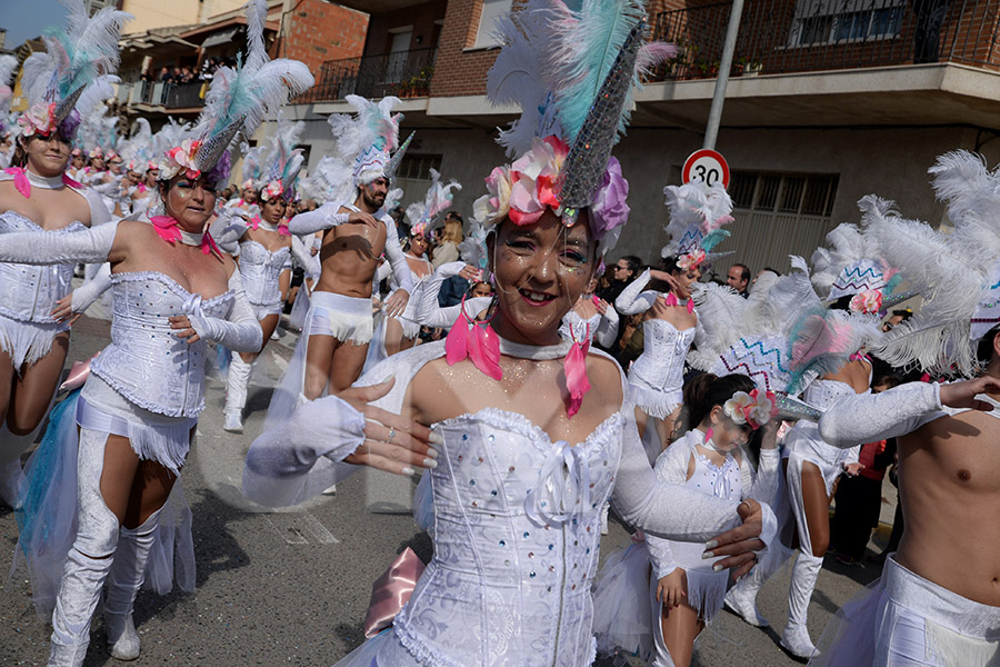 Rua del Carnaval de Santa Margarida i els Monjos 2017. Rua del Carnaval de Santa Margarida i els Monjos 2017