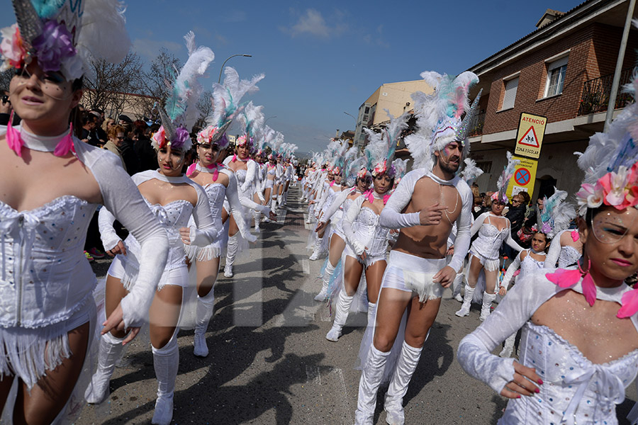 Rua del Carnaval de Santa Margarida i els Monjos 2017