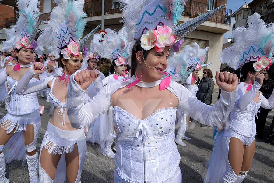 Rua del Carnaval de Santa Margarida i els Monjos 2017