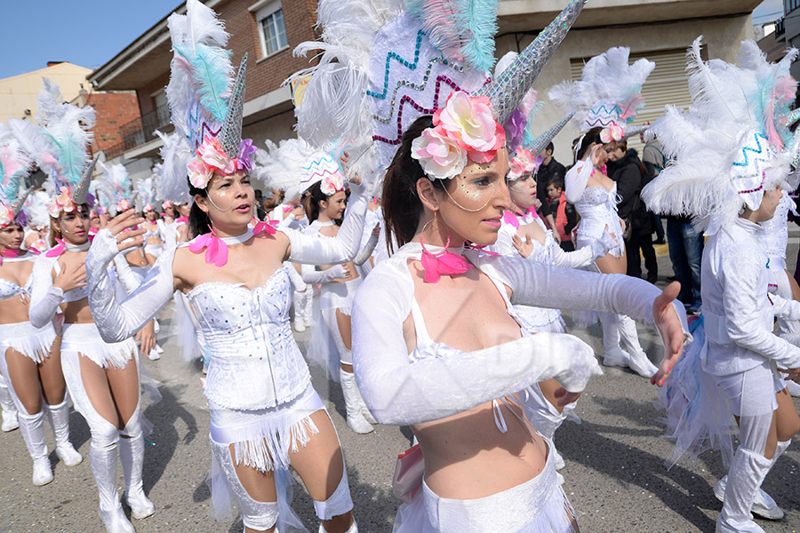 Rua del Carnaval de Santa Margarida i els Monjos 2017