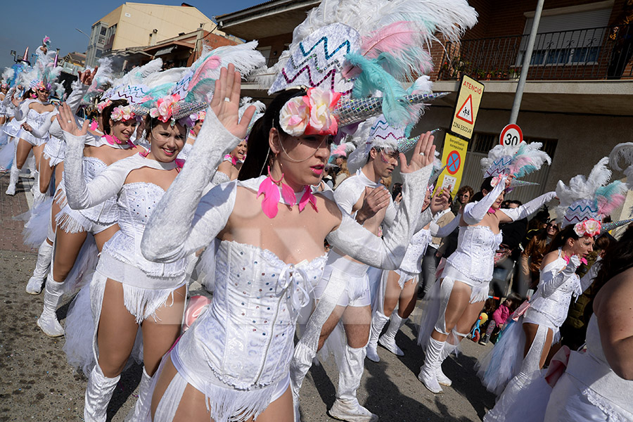 Rua del Carnaval de Santa Margarida i els Monjos 2017. Rua del Carnaval de Santa Margarida i els Monjos 2017