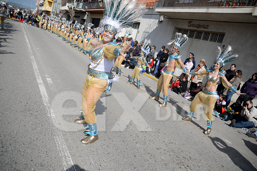 Rua del Carnaval de Santa Margarida i els Monjos 2017. Rua del Carnaval de Santa Margarida i els Monjos 2017